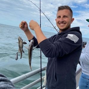 Meet your Posher, James